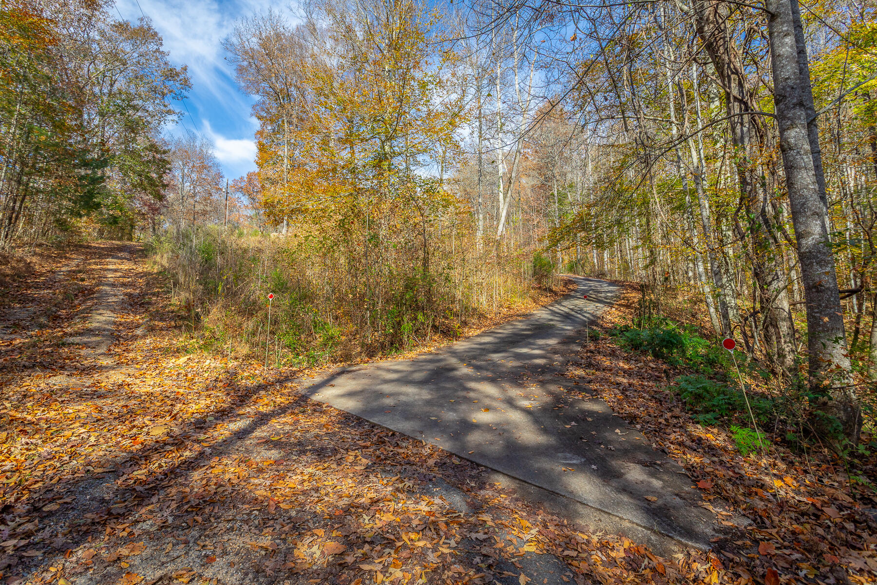 519 Hargiss Cove Road South Pittsburg, TN 37380 - Photo 89 of 118 519 Hargiss Cove Road HD-117