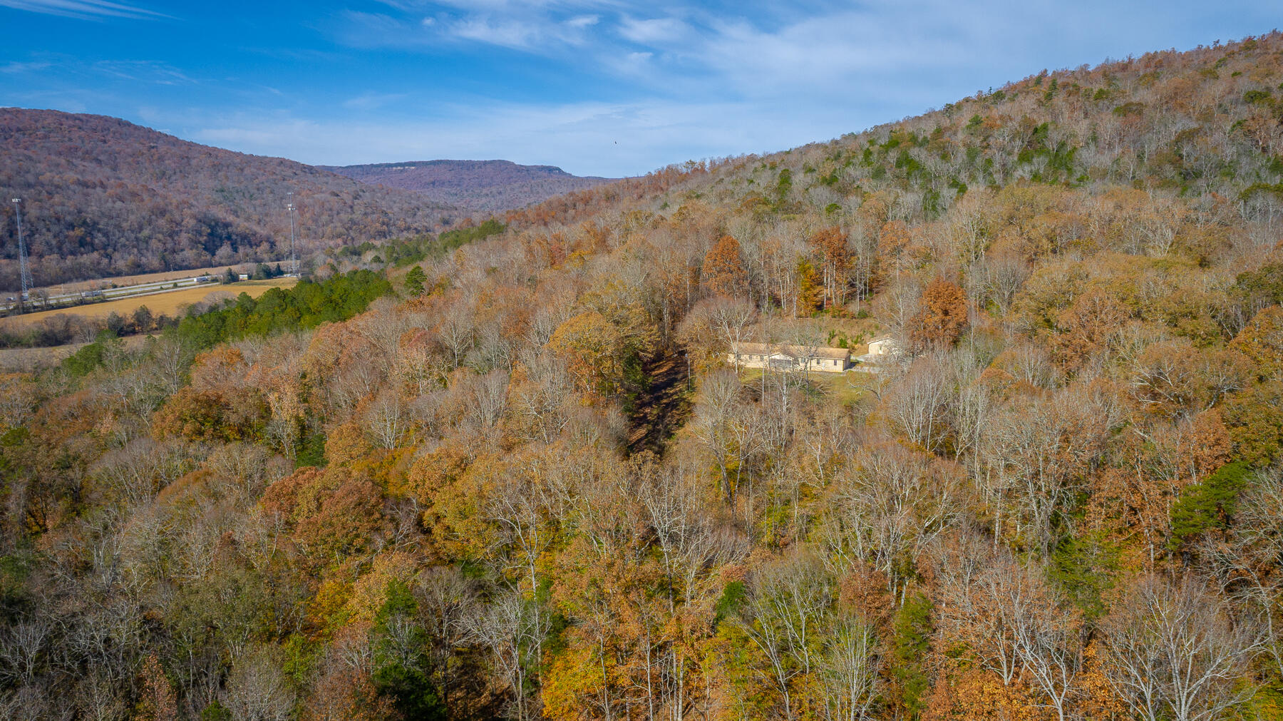 519 Hargiss Cove Road South Pittsburg, TN 37380 - Photo 91 of 118 519 Hargiss Cove Road HD-5