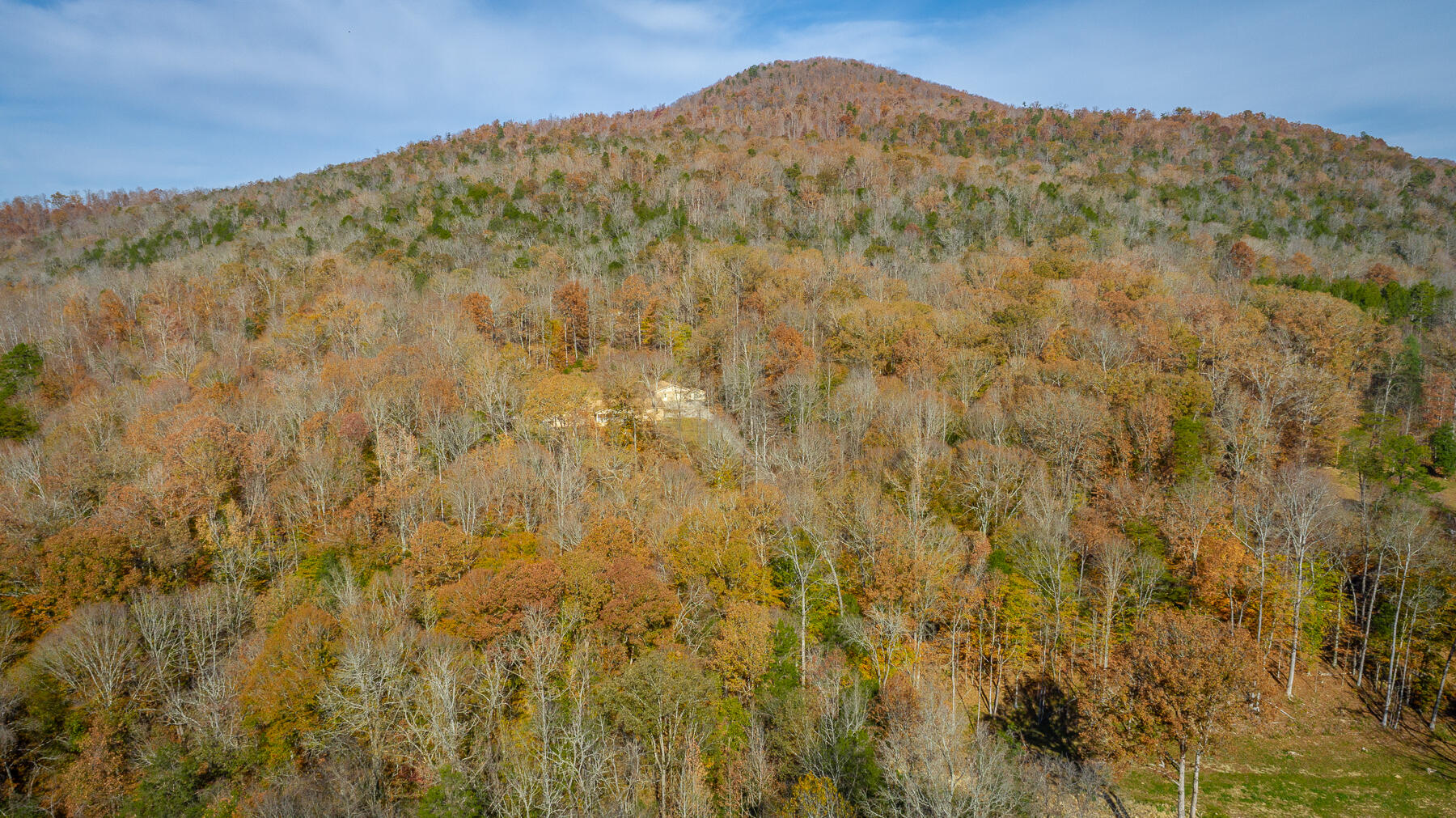 519 Hargiss Cove Road South Pittsburg, TN 37380 - Photo 96 of 118 519 Hargiss Cove Road HD-10