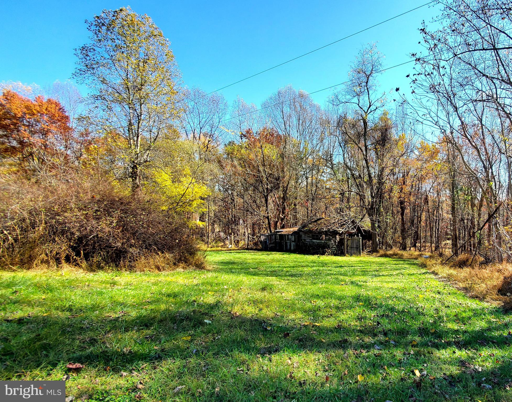 60 Lizzie Mills Road Castleton, VA 22716 - Photo 26 of 47