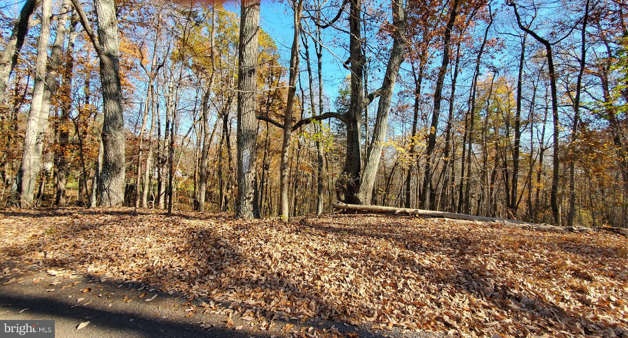 60 Lizzie Mills Road Castleton, VA 22716 - Photo 38 of 47