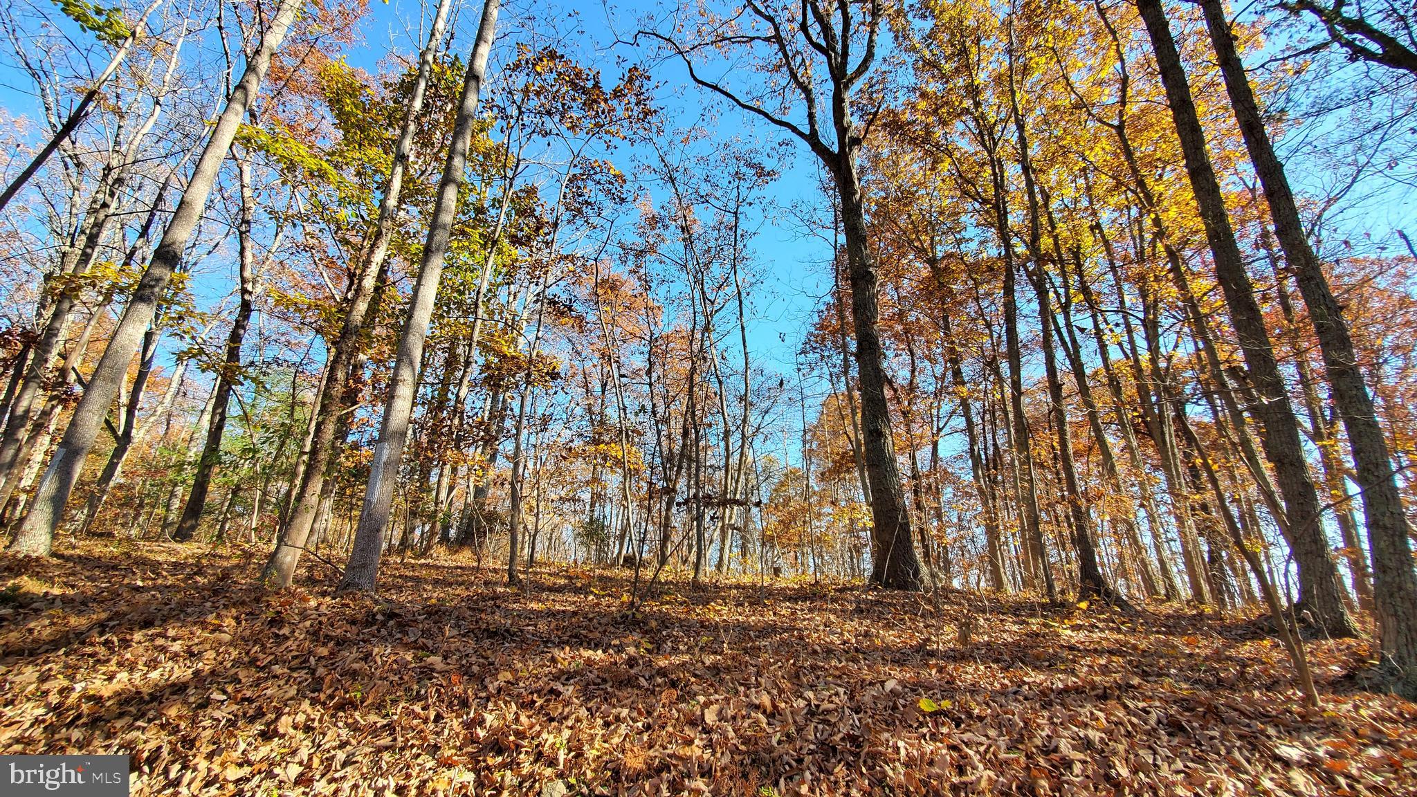 60 Lizzie Mills Road Castleton, VA 22716 - Photo 44 of 47