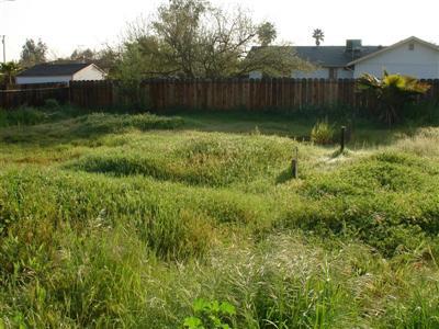 18439 El Paso Road Madera, CA 93638 - Photo 4 of 5 Gallery Image 4