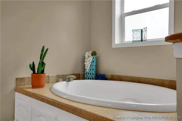 a bathroom with a granite counter top a potted plant and a sink