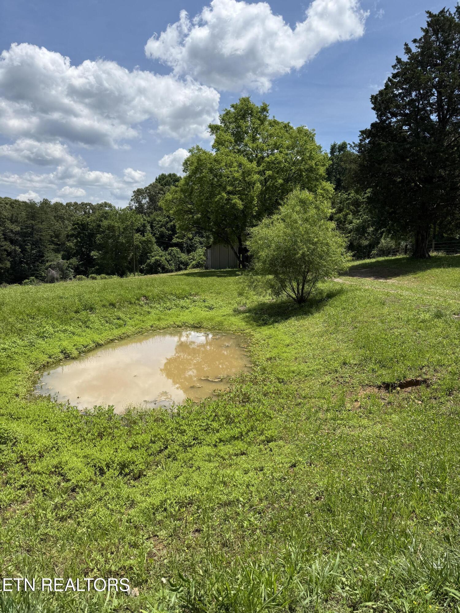 422 County Road 728 Riceville, TN 37370 - Photo 7 of 31 IMG_6433 2