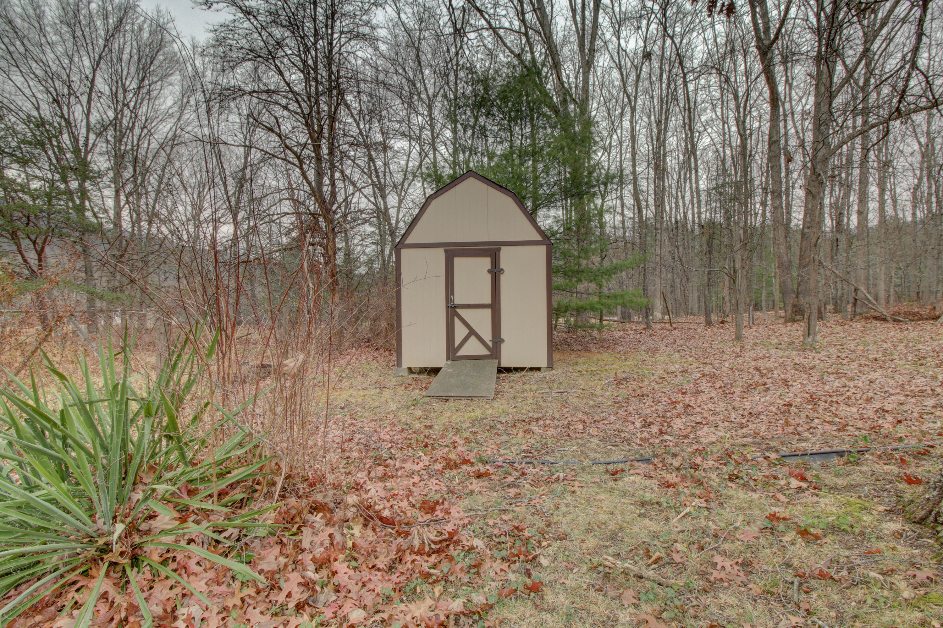 5562 Bradshaw Road Salem, VA 24153 - Photo 29 of 35 Shed