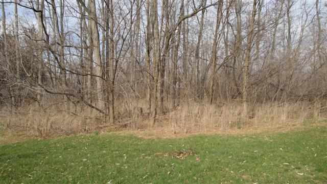573 Boght Road Colonie, NY 12047 - Photo 12 of 12 Photo 12