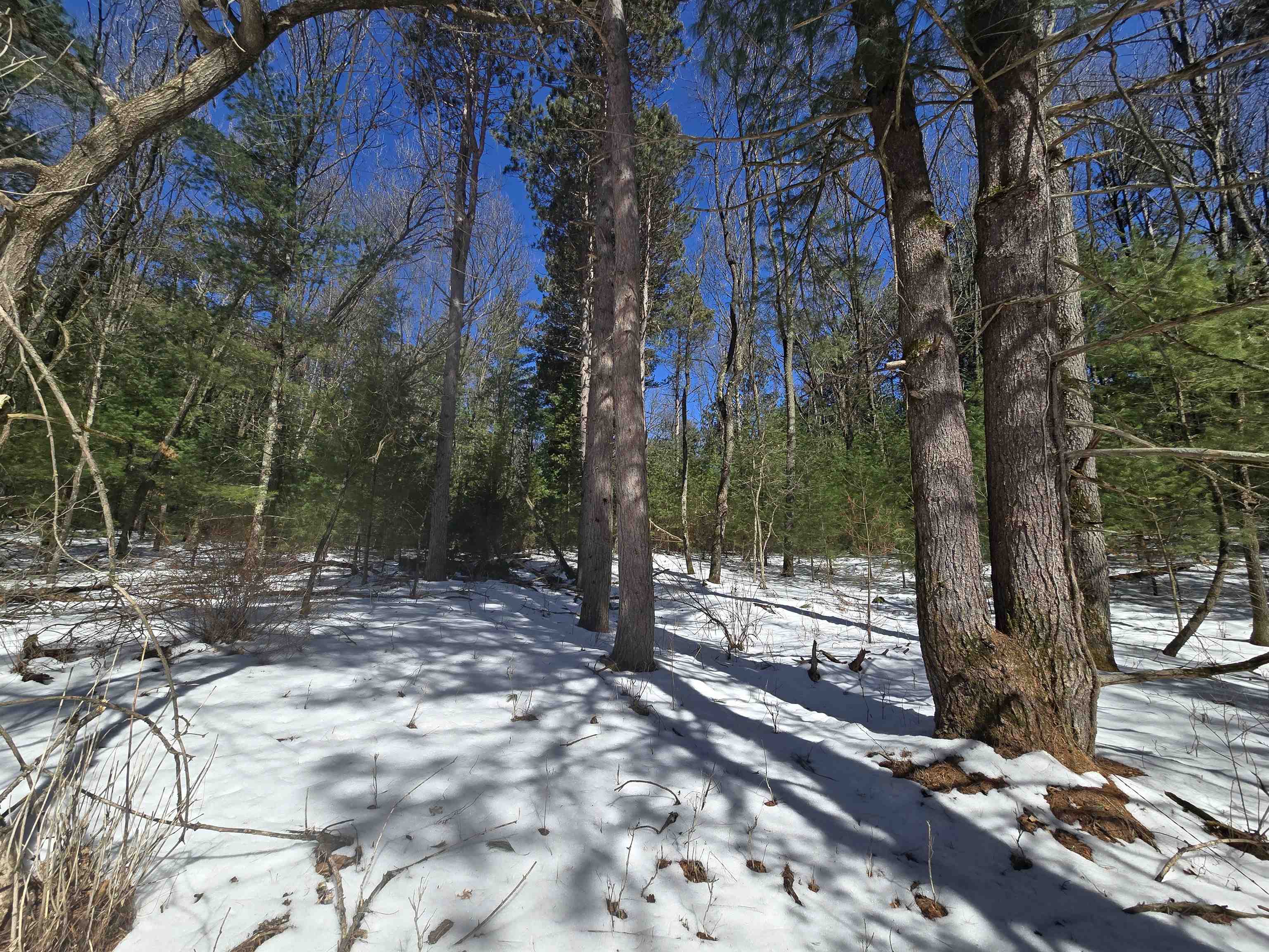 Buttercup Drive Redgranite, WI 54970 - Photo 11 of 14