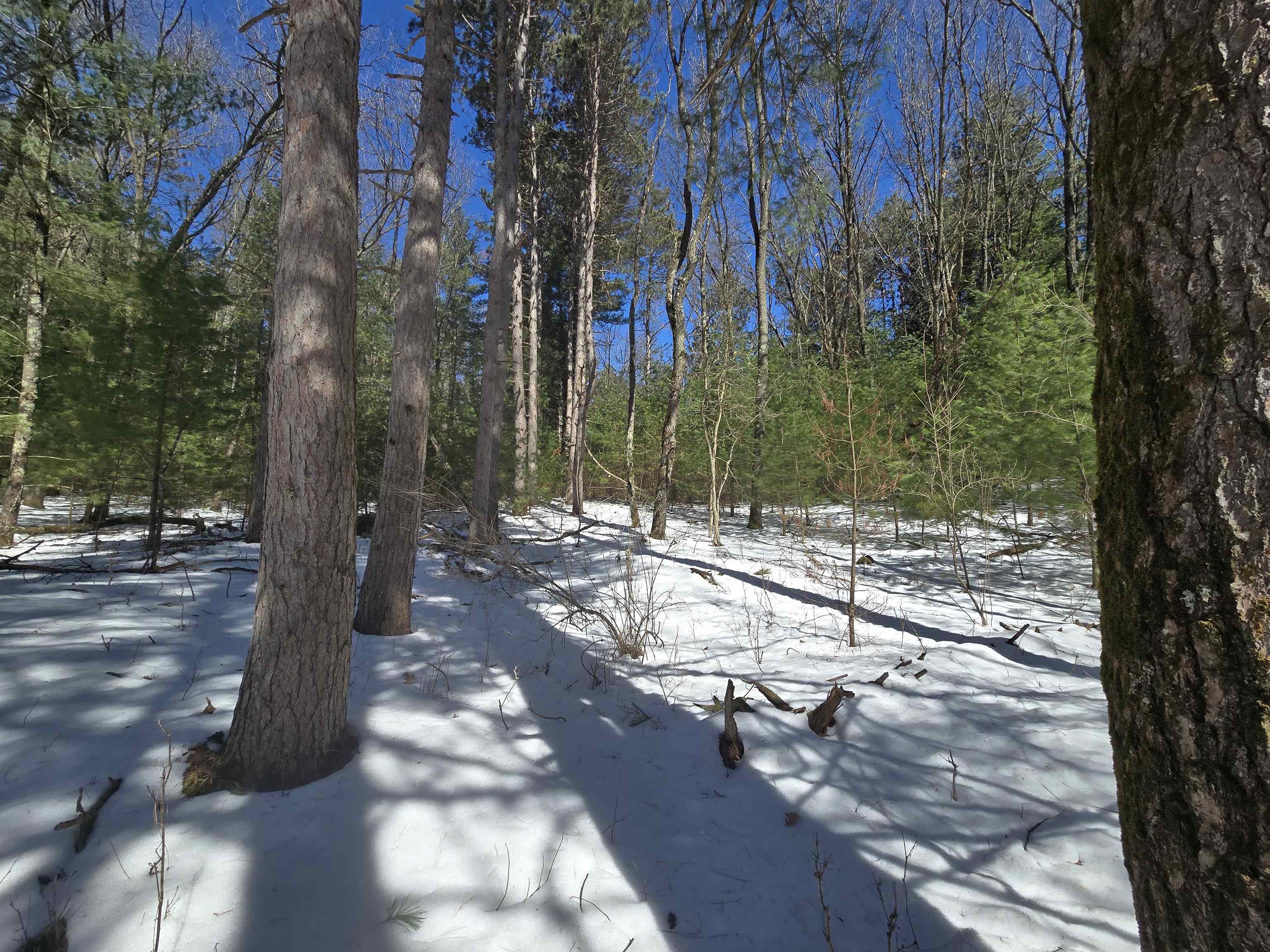 Buttercup Drive Redgranite, WI 54970 - Photo 12 of 14