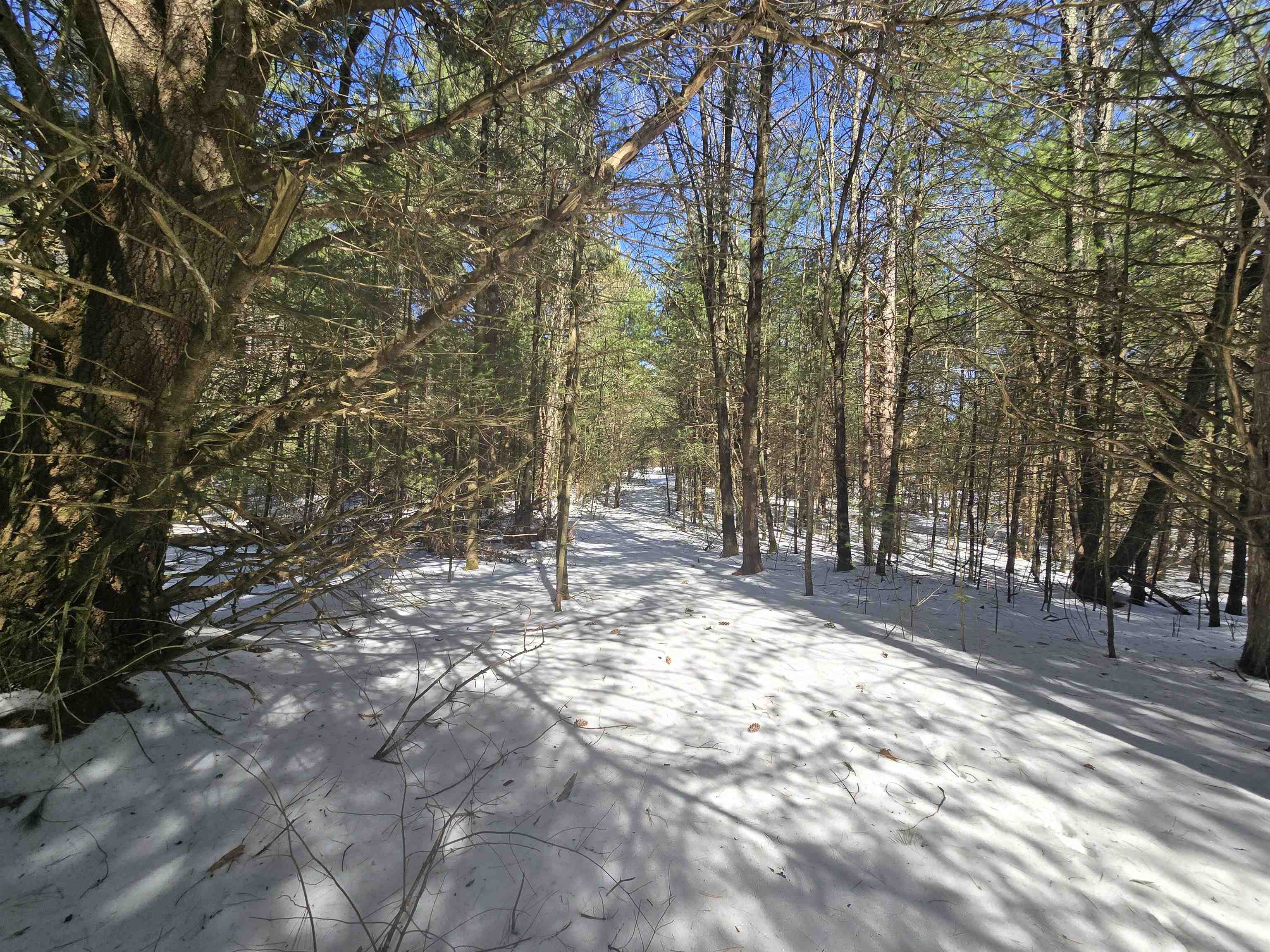 Buttercup Drive Redgranite, WI 54970 - Photo 13 of 14