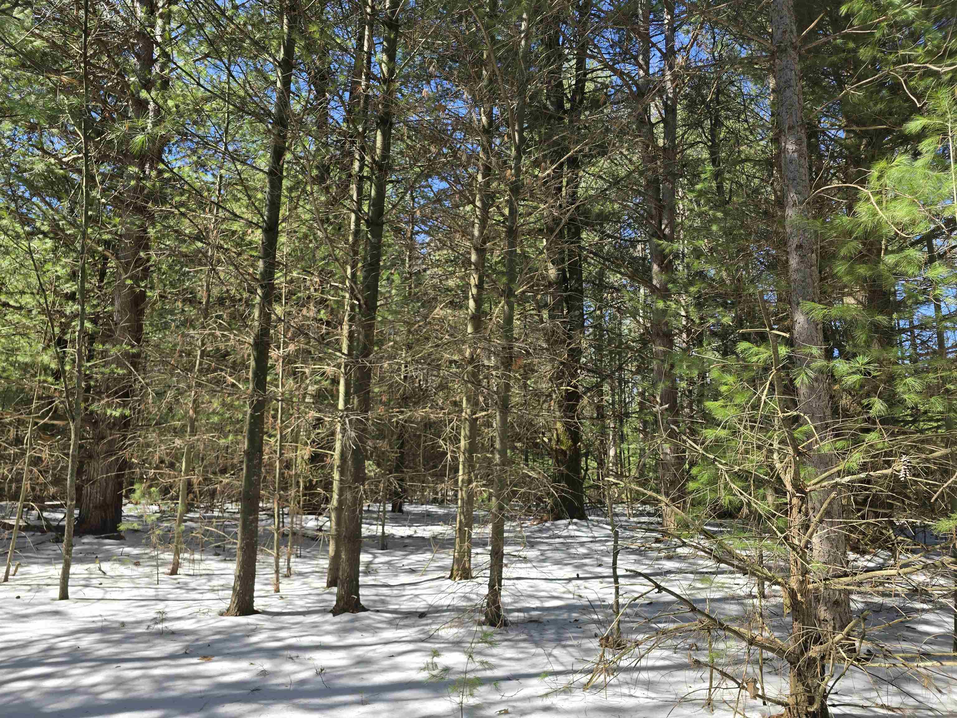 Buttercup Drive Redgranite, WI 54970 - Photo 3 of 14