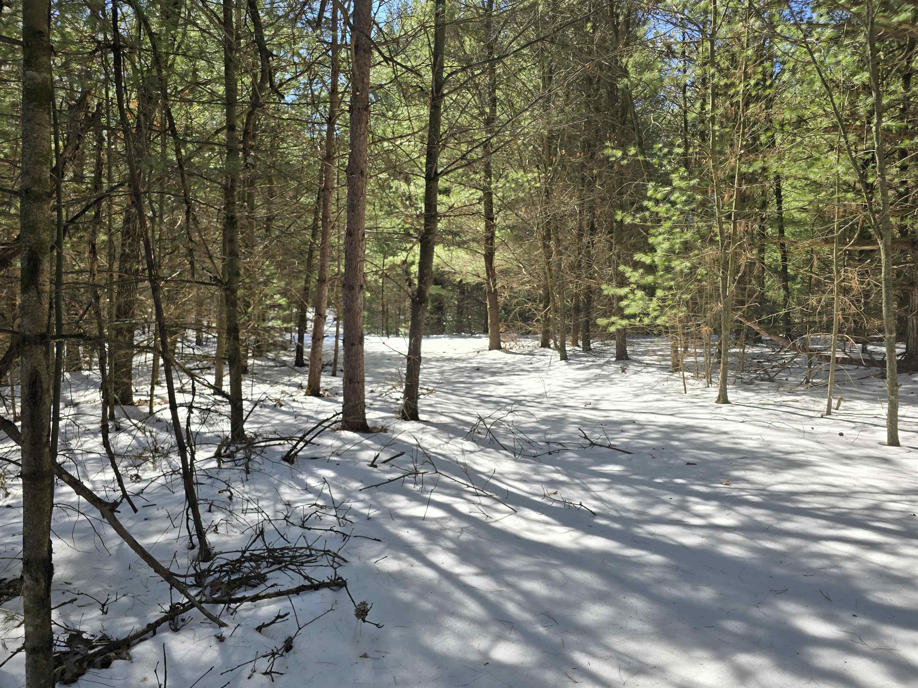 Buttercup Drive Redgranite, WI 54970 - Photo 4 of 14