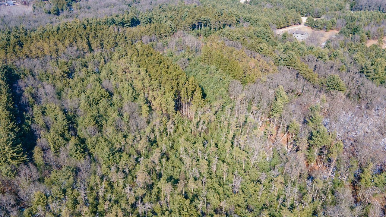 Buttercup Drive Redgranite, WI 54970 - Photo 5 of 14