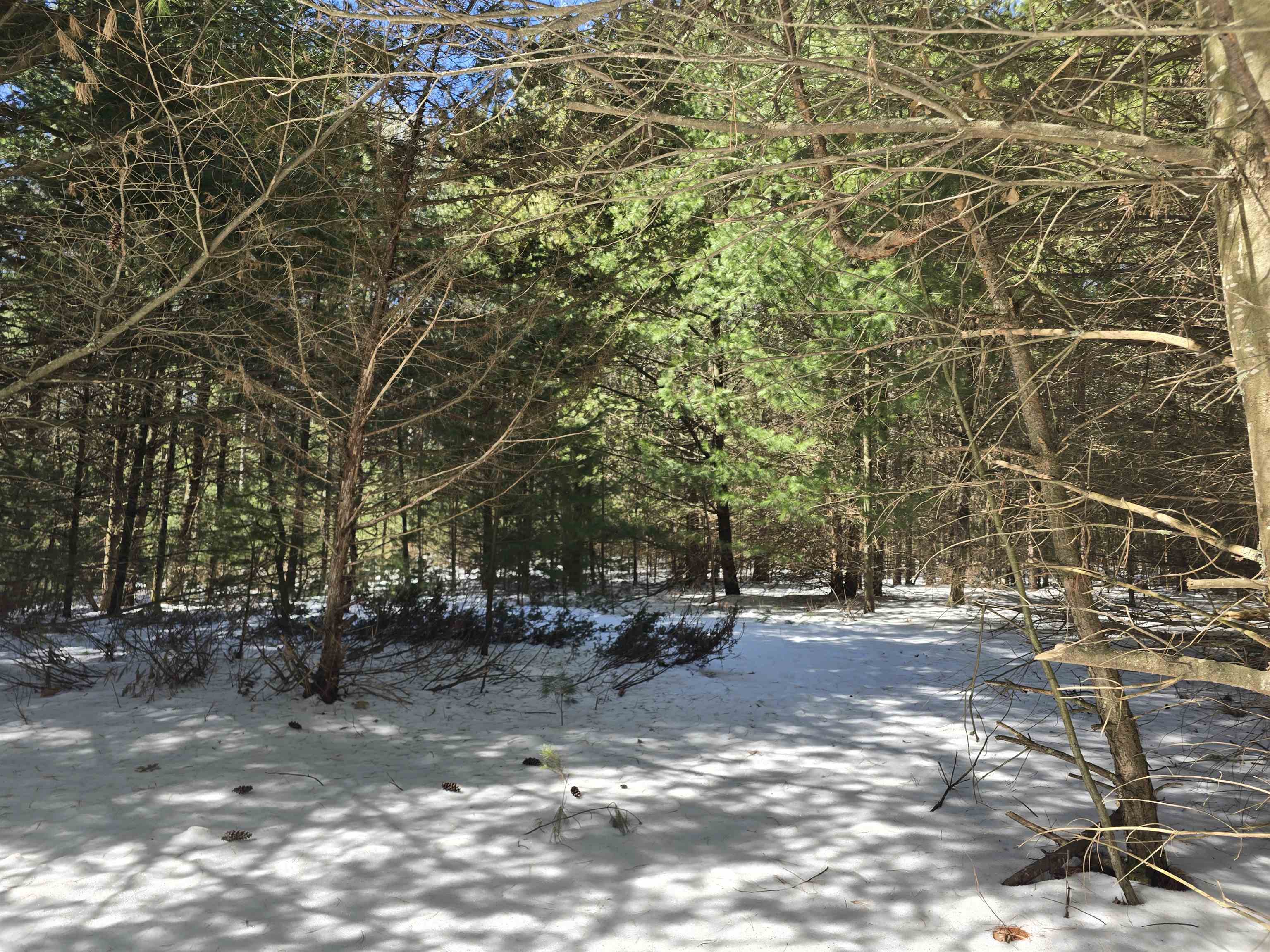 Buttercup Drive Redgranite, WI 54970 - Photo 6 of 14