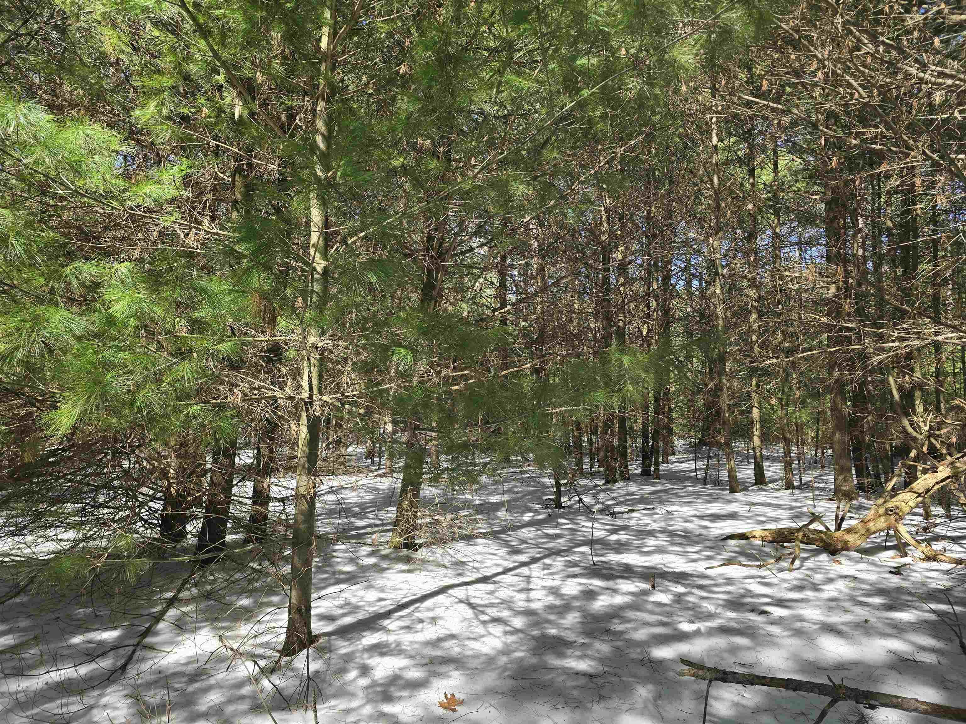 Buttercup Drive Redgranite, WI 54970 - Photo 8 of 14