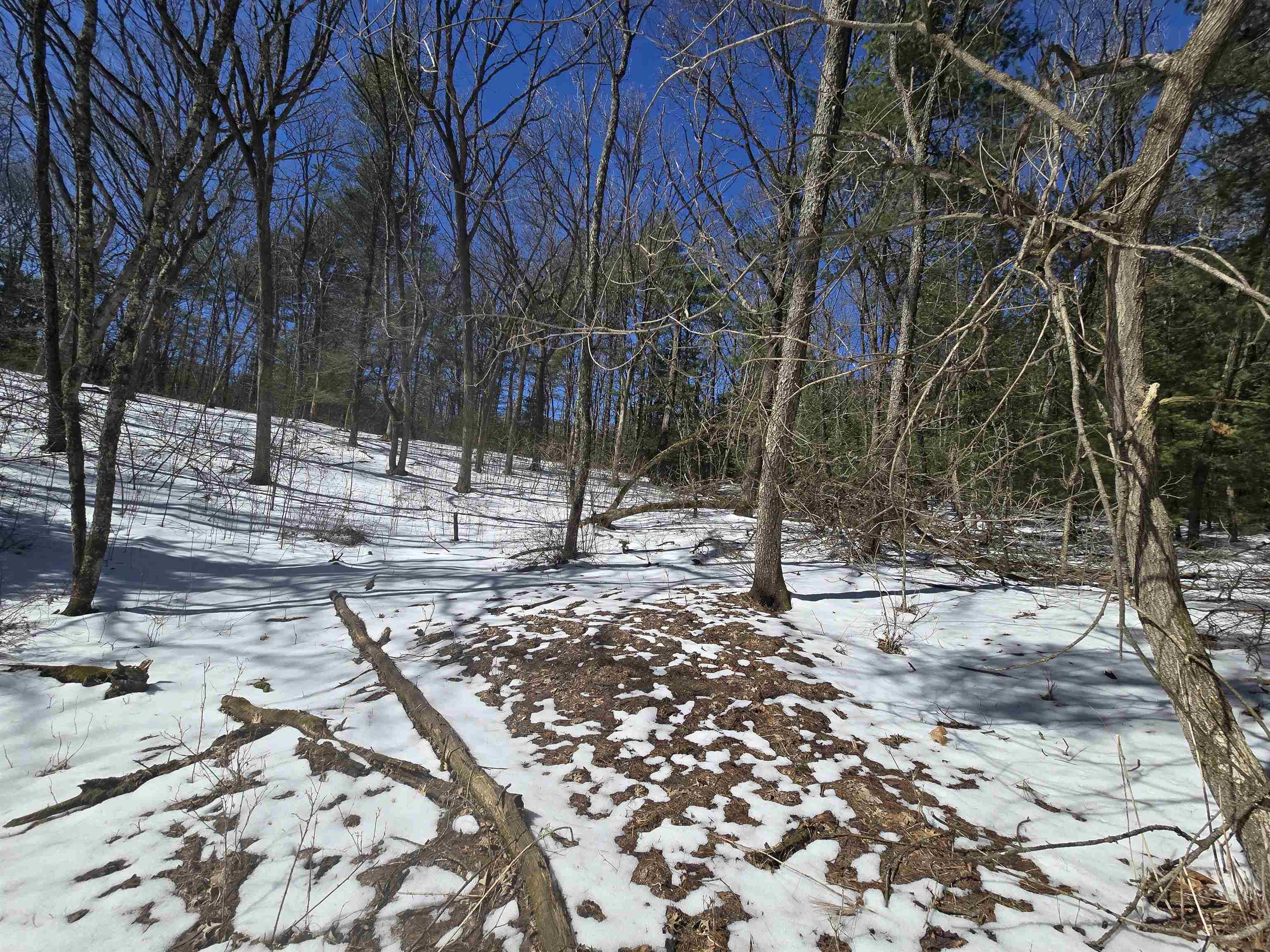 Buttercup Drive Redgranite, WI 54970 - Photo 10 of 14