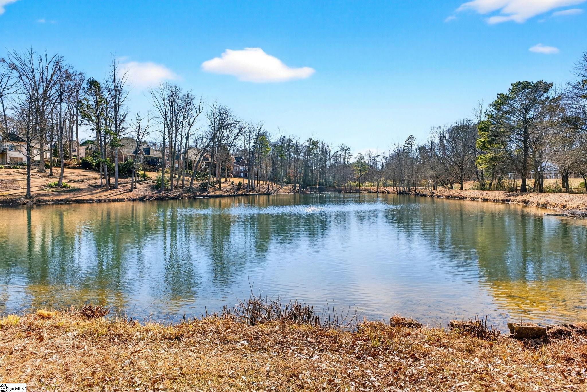 200 Ridge Bay Court Greenville, SC 29611 - Photo 25 of 50