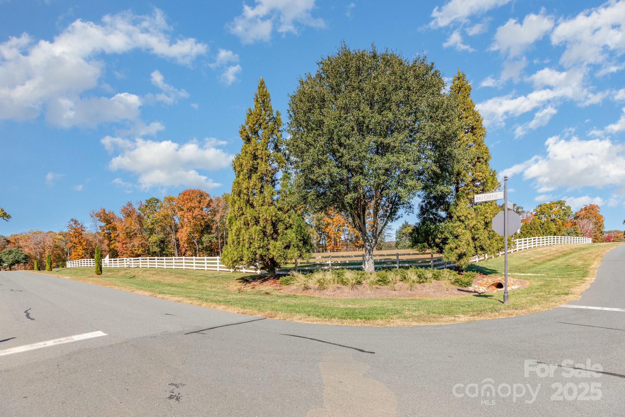 6421 Joli Cheval Lane, Unit 9 Mint Hill, NC 28227 - Photo 12 of 19 a view of a yard with a fountain