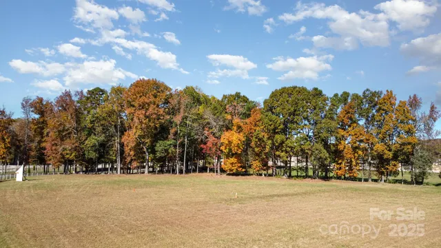 a view of outdoor space and trees