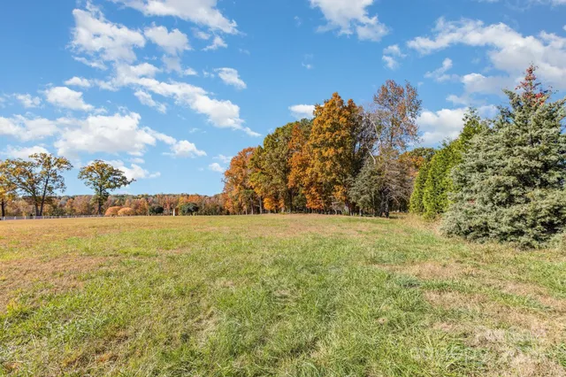 a view of outdoor space and yard