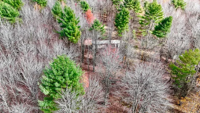 a view of a plant from a balcony