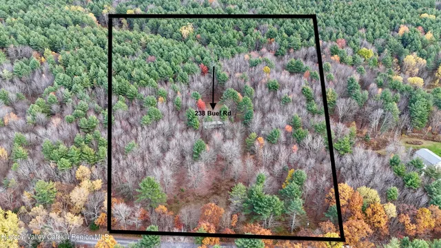 $99,999 | 238 Buel Road, Gilboa, NY 12076