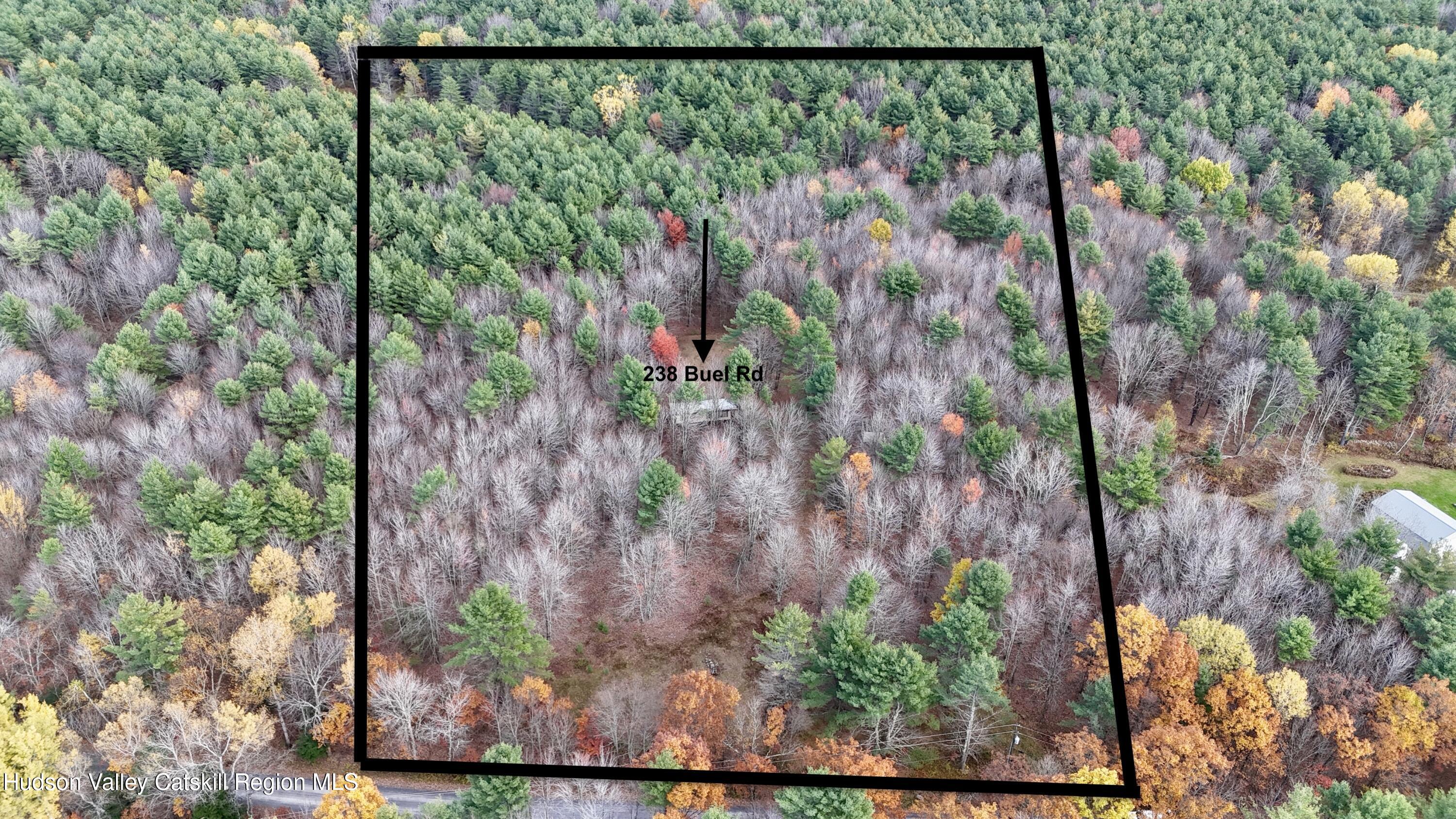 238 Buel Road Gilboa, NY 12076 - Photo 13 of 13 a view of a plant from a balcony