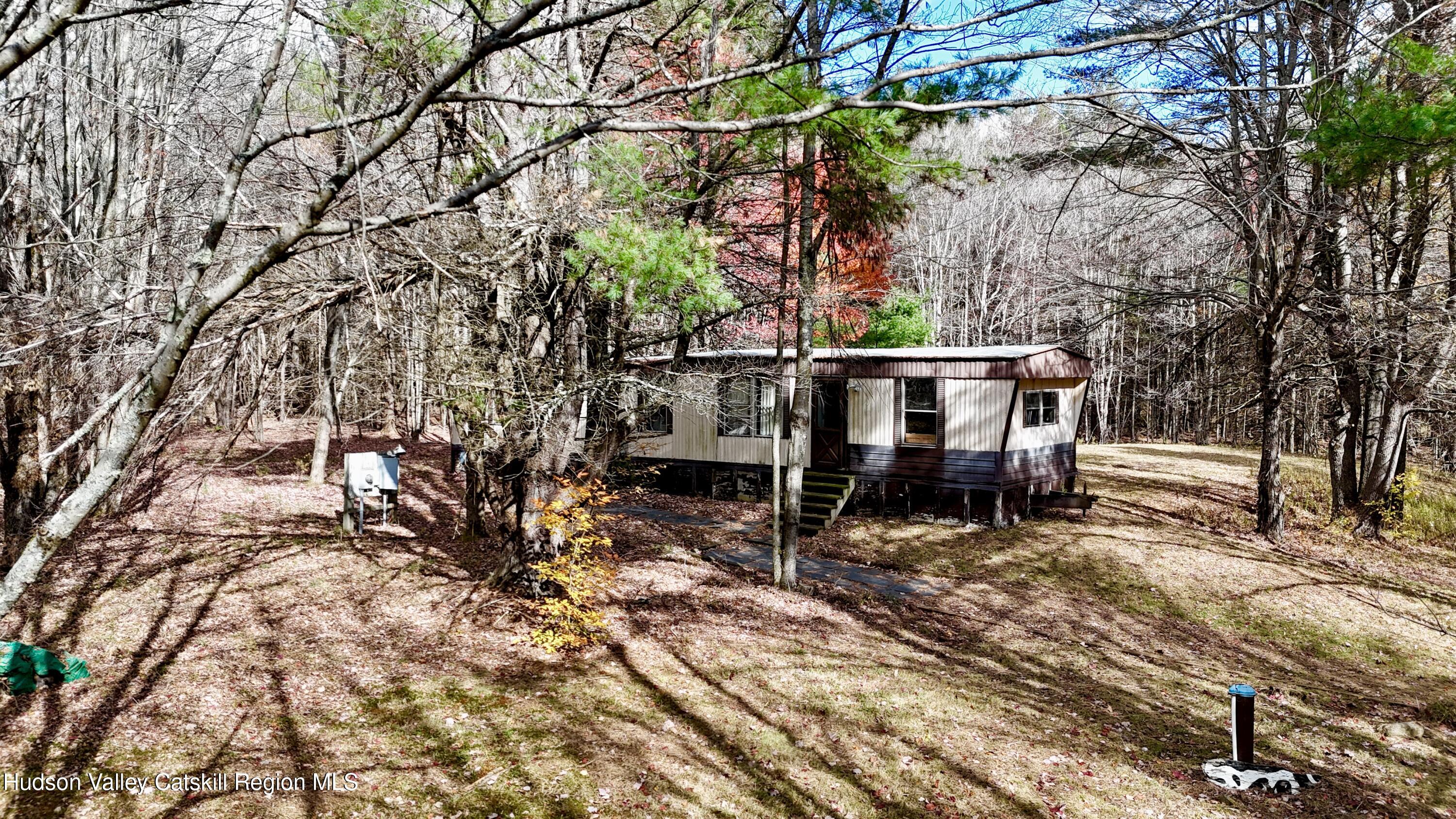 238 Buel Road Gilboa, NY 12076 - Photo 3 of 13 a view of house with outdoor seating and covered with trees