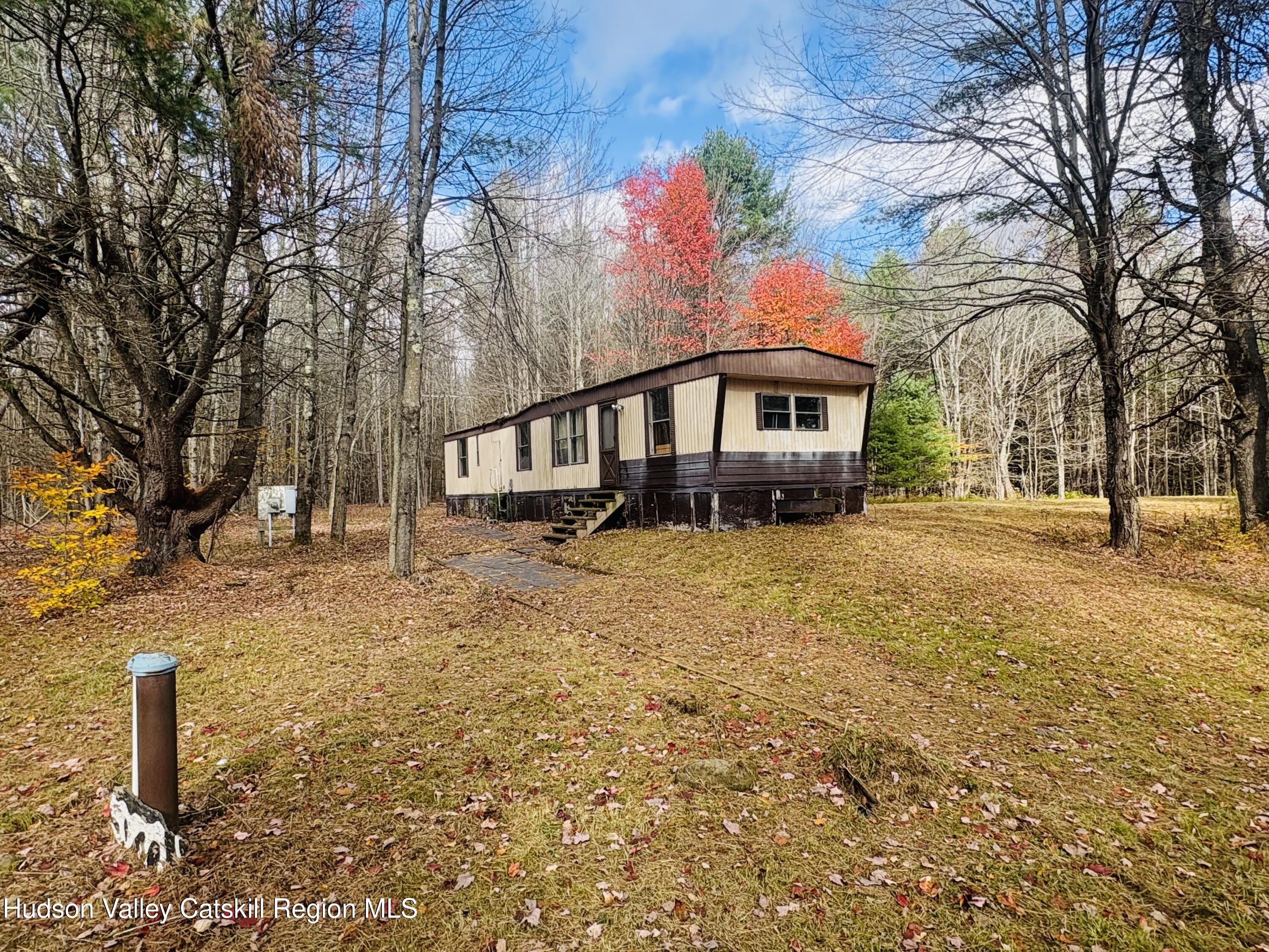 238 Buel Road Gilboa, NY 12076 - Photo 9 of 13 a front view of a house with a yard