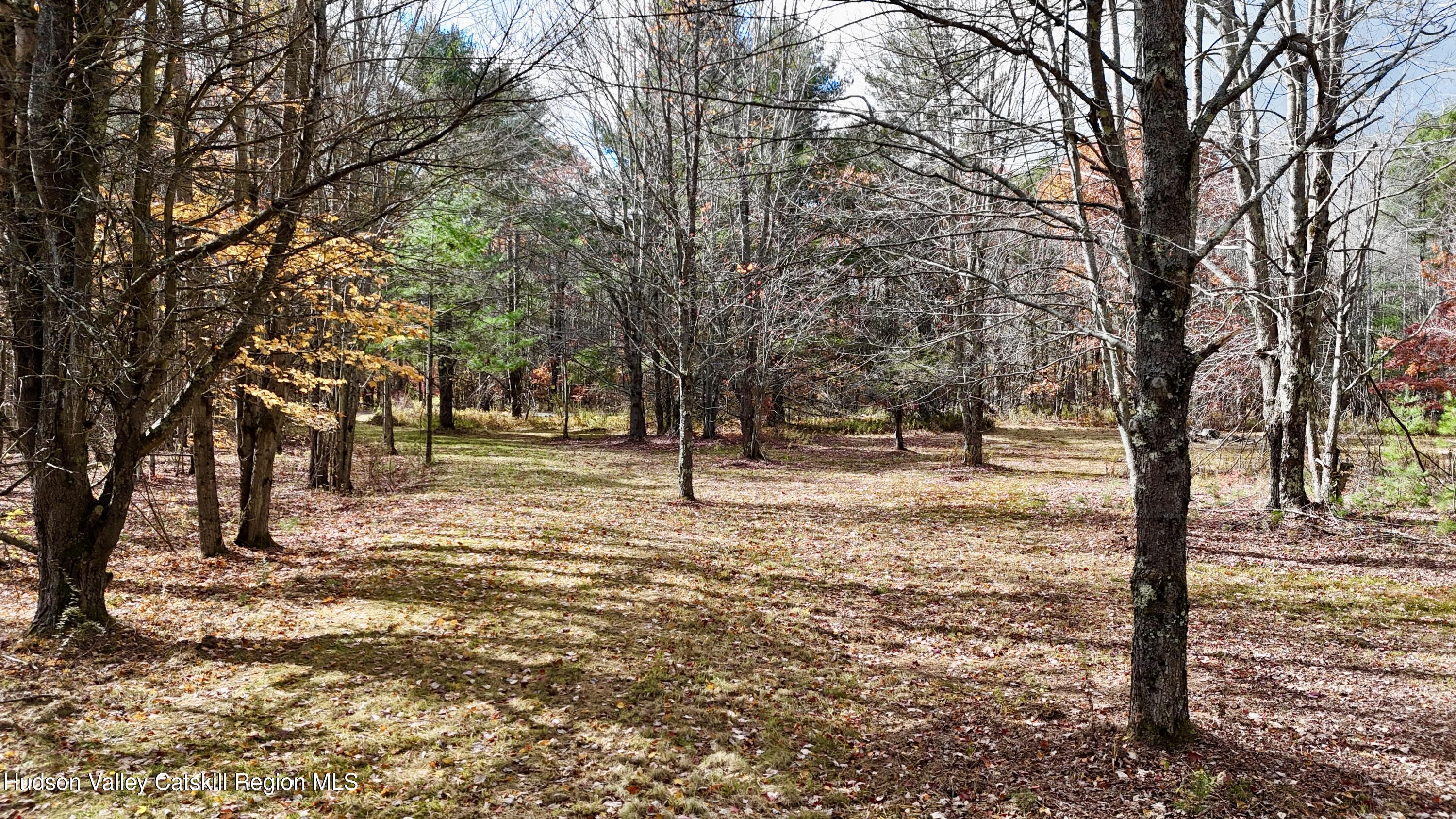 238 Buel Road Gilboa, NY 12076 - Photo 10 of 13 a view of outdoor space with lots of trees