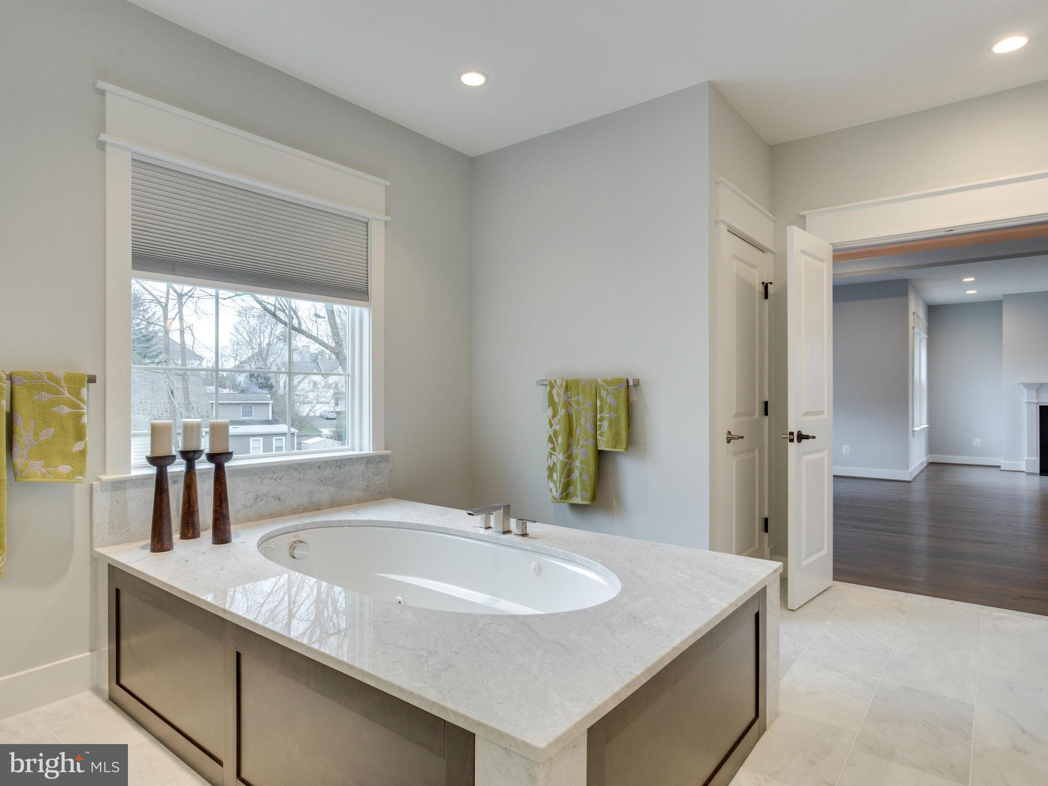 1826 Birch Road McLean, VA 22101 - Photo 23 of 29 Bath (Master)