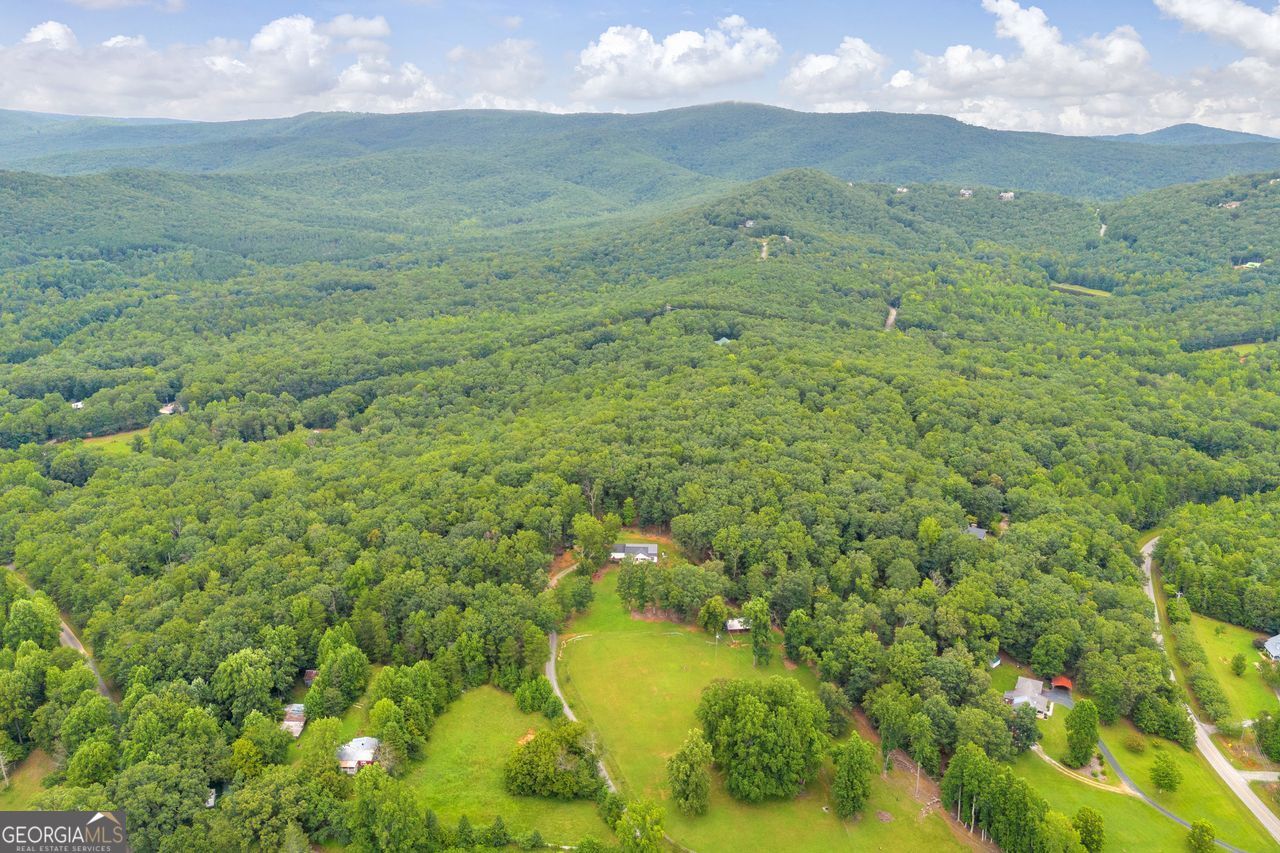 945 Hank Fry Road Clarkesville, GA 30523 - Photo 7 of 45 a view of a lake in a field