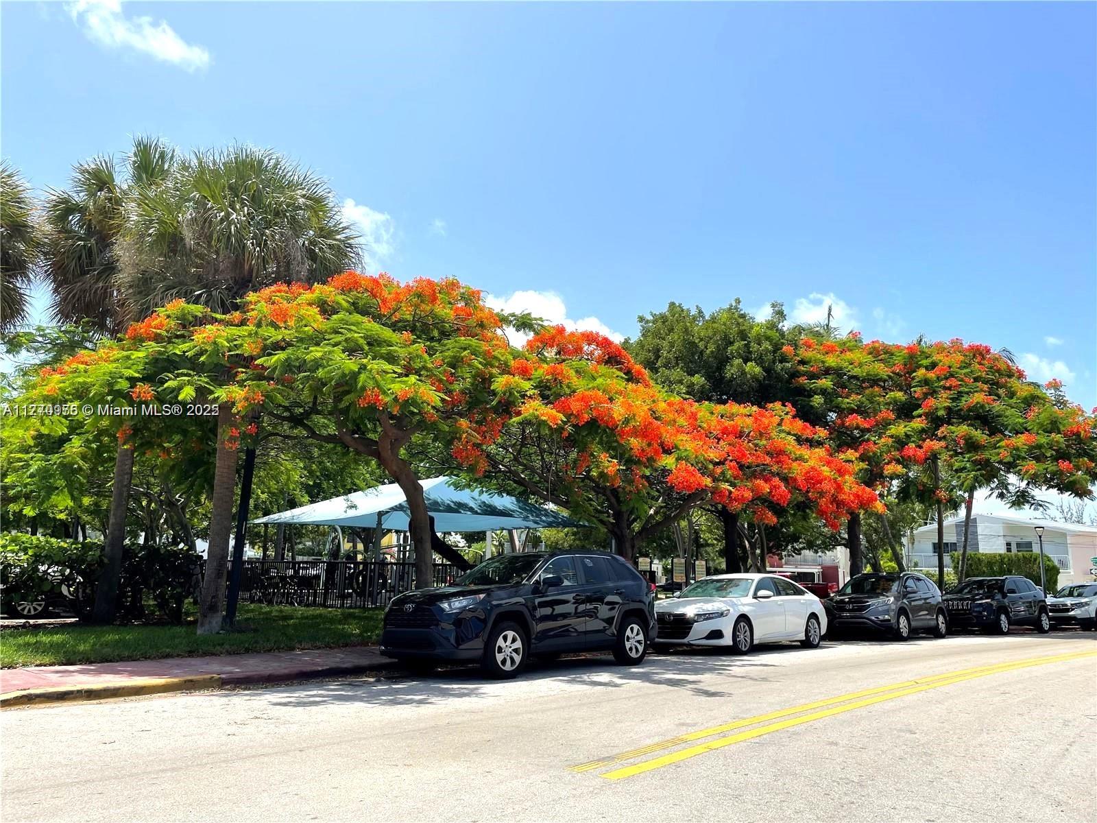 7300 Wayne Avenue, Unit 511 Miami Beach, FL 33141 - Photo 9 of 20 a view of a house with a yard