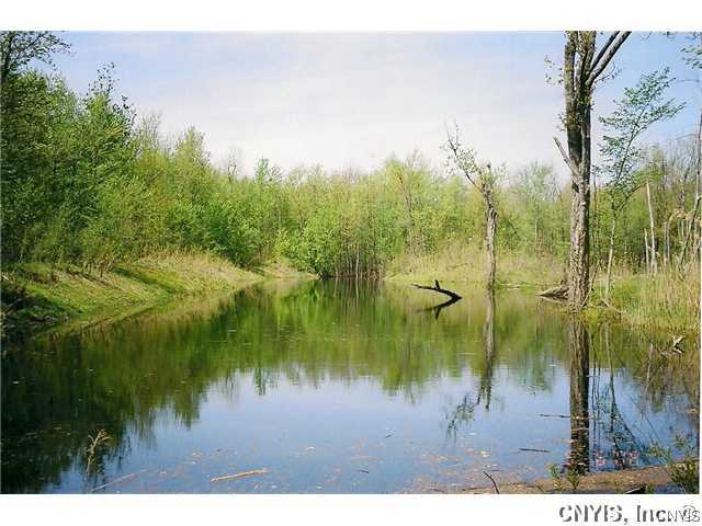 0 Dinglehole Road Lysander, NY 13027 - Photo 1 of 1 Land/Lot