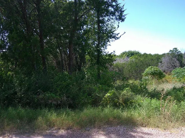 a view of a lush green space