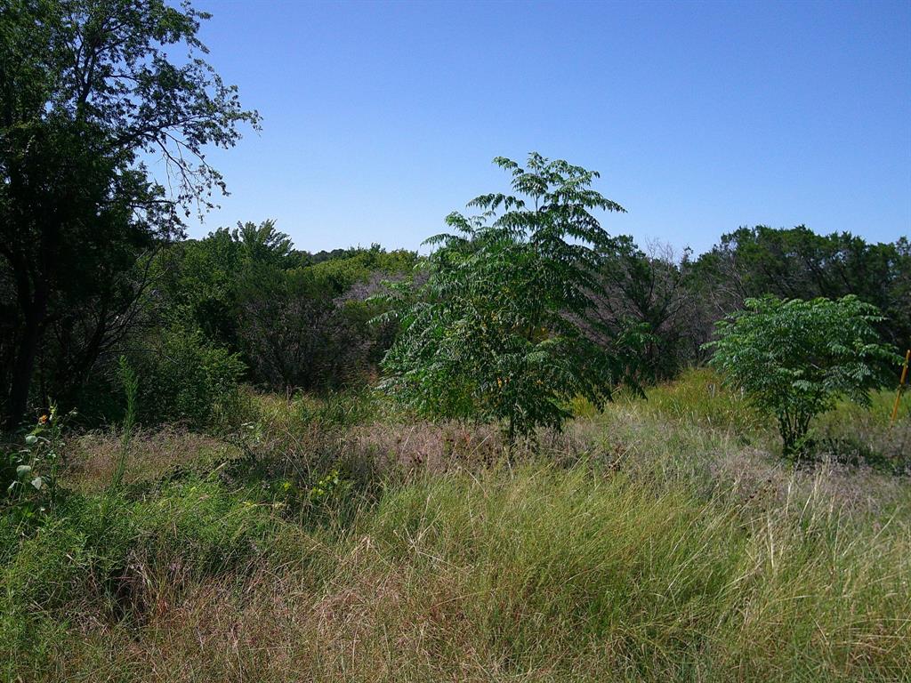 826 Tepee Trail Granbury, TX 76048 - Photo 4 of 9