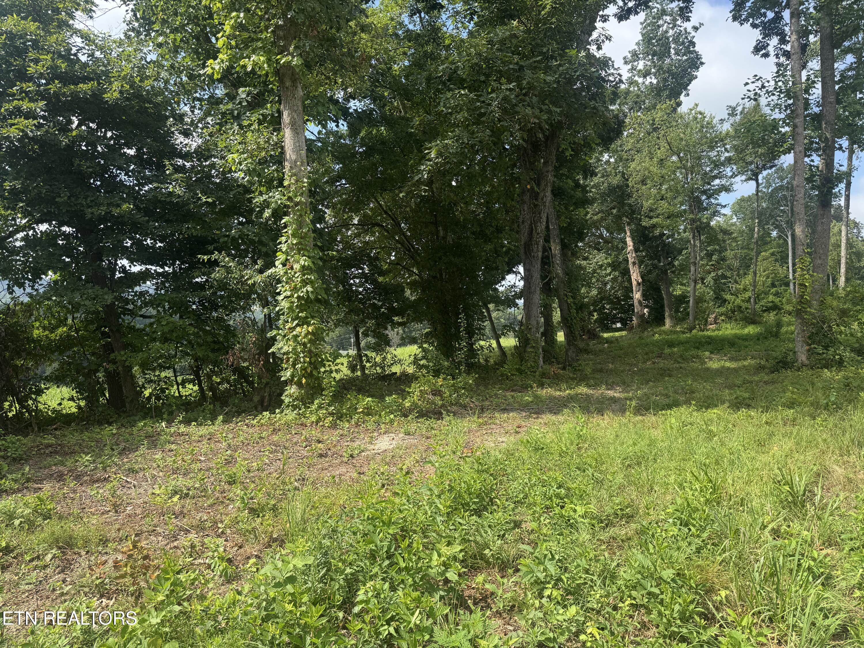1 Mill Creek Road Andersonville, TN 37705 - Photo 15 of 26 IMG_0946