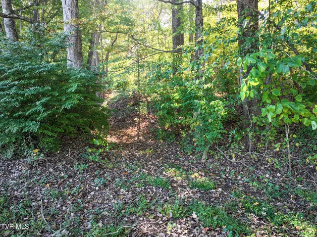 $314,900 | 15490 Kingsport Highway, Chuckey, TN 37641