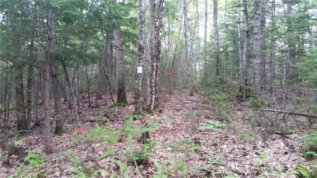 0 Garden Road, Unit LOT 3 Monroe, ME 04951 - Photo 2 of 14 Photo