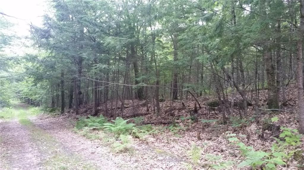 0 Garden Road, Unit LOT 3 Monroe, ME 04951 - Photo 3 of 14 Photo