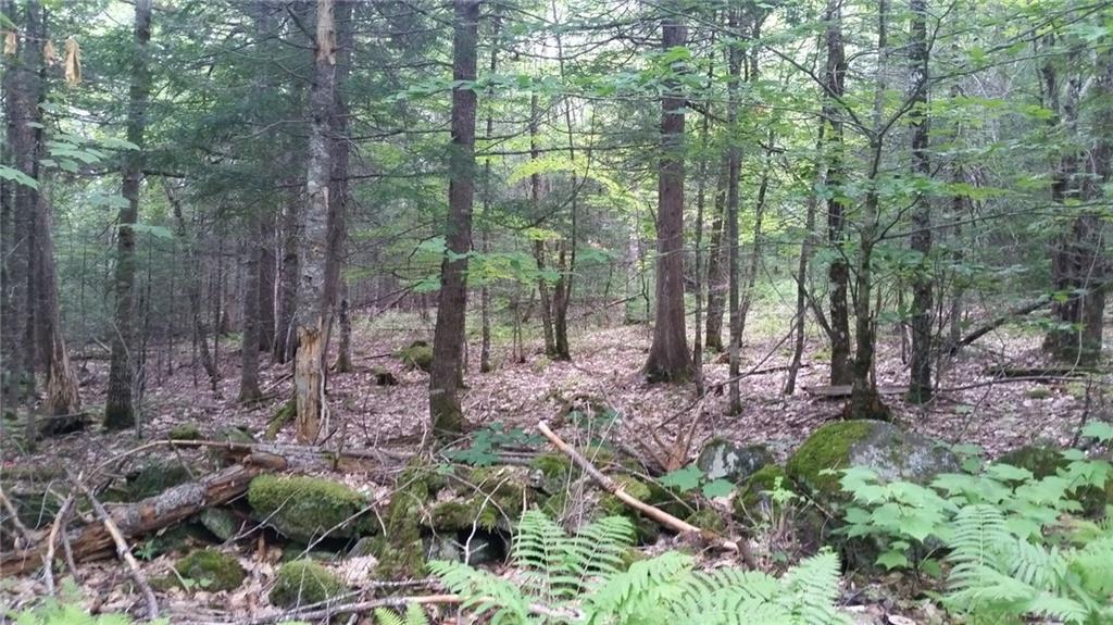 0 Garden Road, Unit LOT 3 Monroe, ME 04951 - Photo 4 of 14 Photo