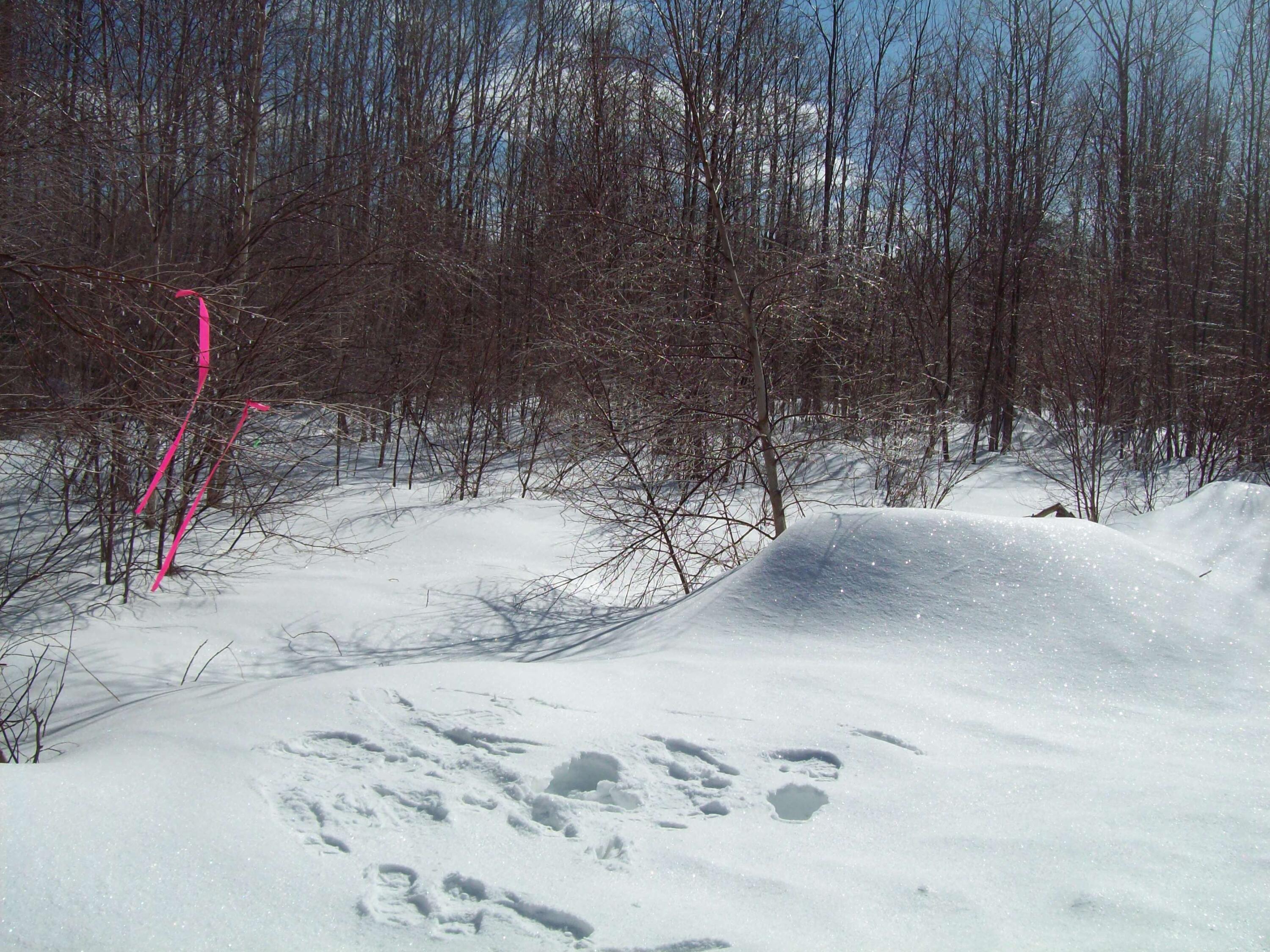 T7 R3 Nbpp Me 04487 Drive Springfield, ME 04487 - Photo 3 of 8 100_3355