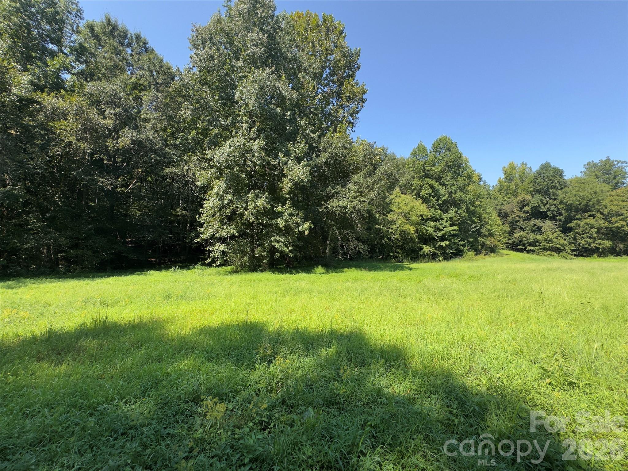 None Laboratory Road Lincolnton, NC 28092 - Photo 9 of 29 Gallery Image 9