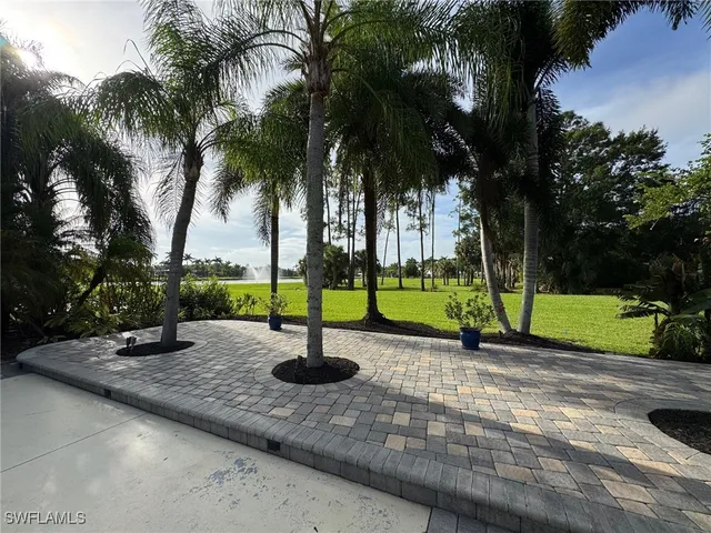 a view of a park with palm trees