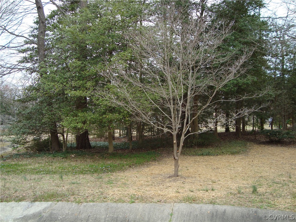 9601 Cole Mill Road Richmond, VA 23237 - Photo 37 of 39 Gallery Image 37
