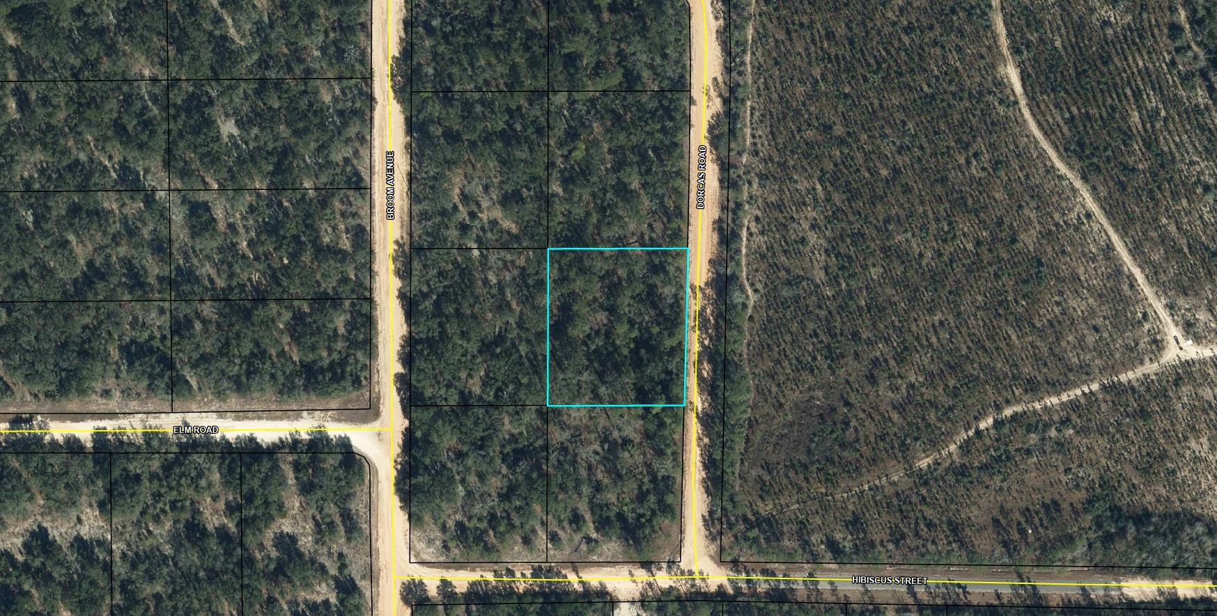 Lot 7 Dorcas Road Marianna, FL 32448 - Photo 2 of 2 a view of a small yard