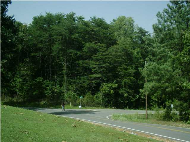 1 Providence Road Sale Creek, TN 37373 - Photo 2 of 2 Additional Photo