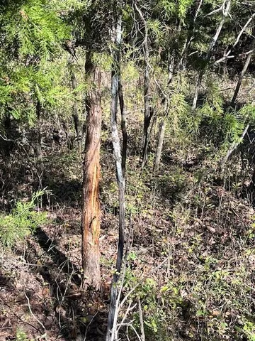 $1,300,000 | 926 South 130th Street, Bonner Springs, KS 66012