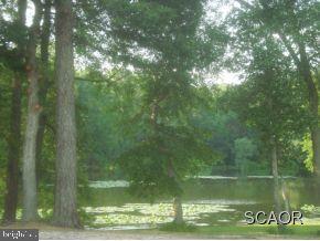 8115 Hearns Pond Road Seaford, DE 19973 - Photo 6 of 10 Gallery Image 6