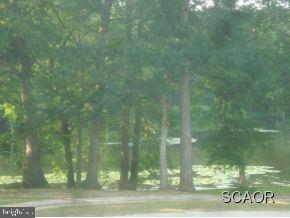 8115 Hearns Pond Road Seaford, DE 19973 - Photo 10 of 10 Gallery Image 10